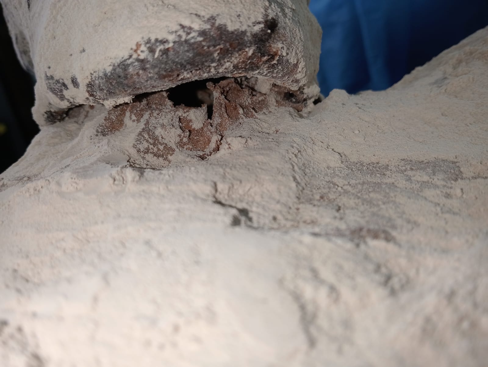 Jois Chin
